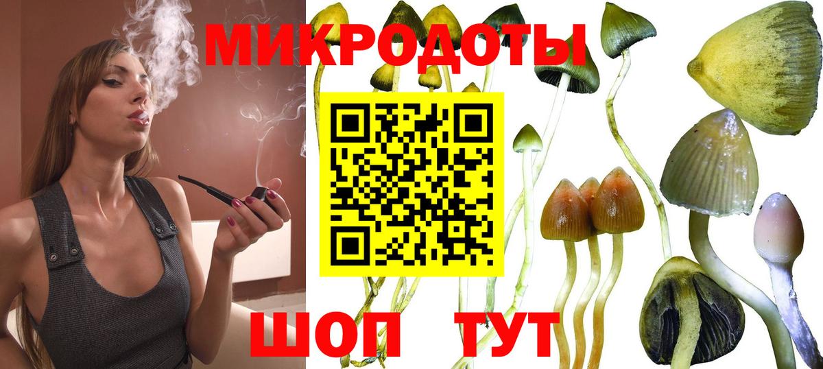 Галлюциногенные грибы Psilocybe  купить  цена  Вход с VPN  Ялта  Галлюциногенные грибы мицелий 