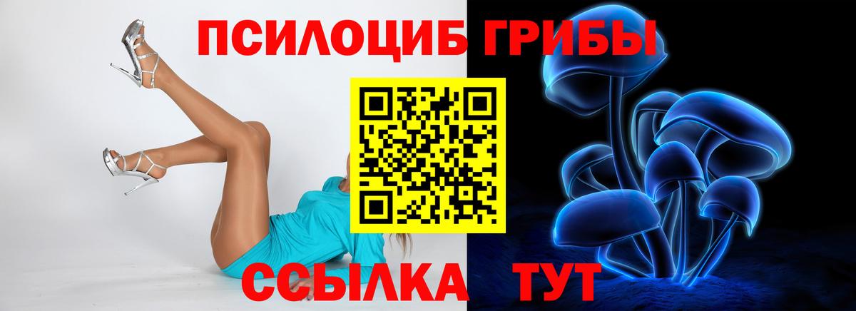 Псилоцибиновые грибы Psilocybe Ялта
